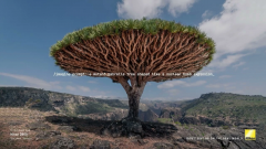 尼康:通过镜头拍摄的自然美景和摄影师的创造力是 AI 无法取代的 尼康:通过镜头拍摄的自然美景和摄影师的创造力是 AI 无法取代的