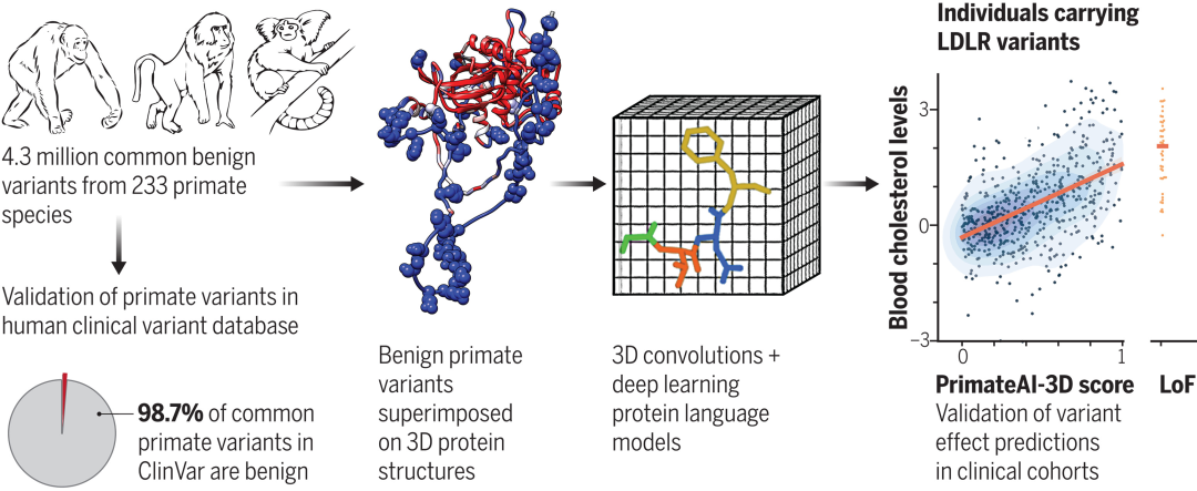 马斯克、米哈游轮番注资,AI医疗会是下一个风口吗?