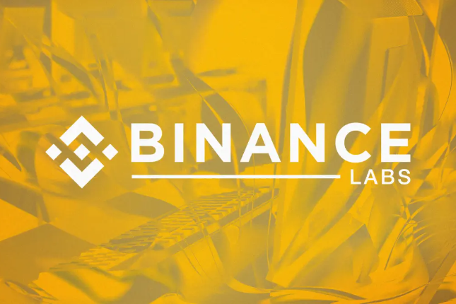一览Binance Labs投资战略:DeFi、基建占比领先 一览Binance Labs投资战略:DeFi、基建占比领先