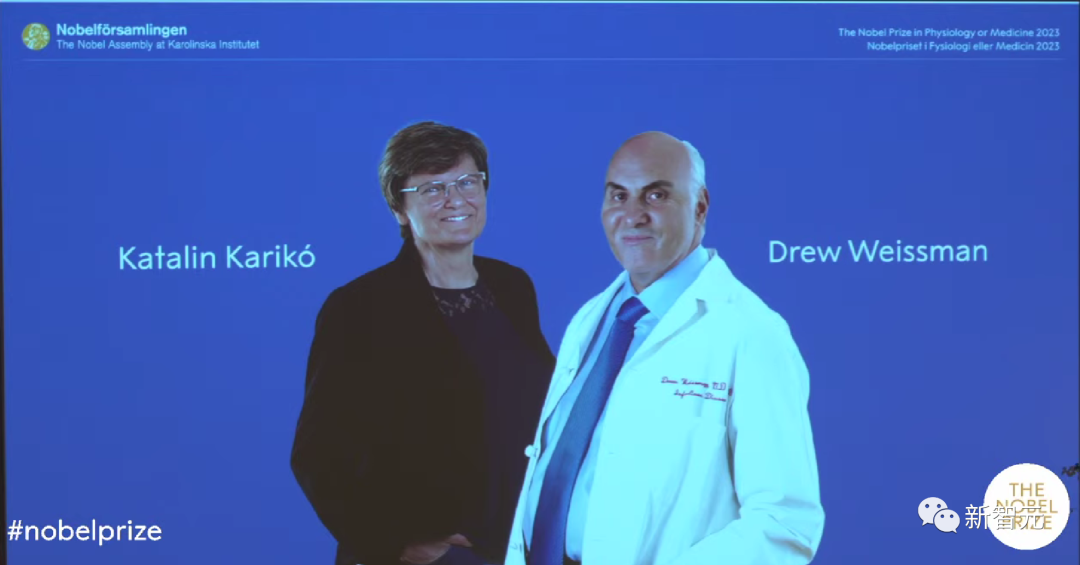 ChatGPT押中诺奖!准确预测mRNA疫苗,2023年诺贝尔生理学或医学奖众望所归