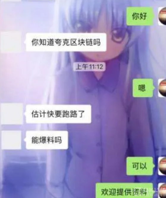 中国传销第一人陈佳：诈骗项目多达几十个