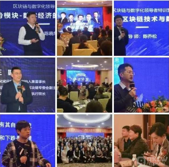 2022崩盘项目：数金链OLO