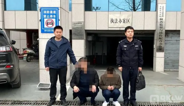 2022崩盘项目:绿色篮子 2022崩盘项目:绿色篮子