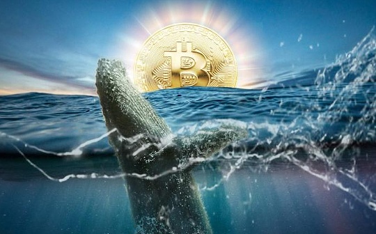 加密货币的变革之海——关于未来十年的思考 加密货币的变革之海——关于未来十年的思考