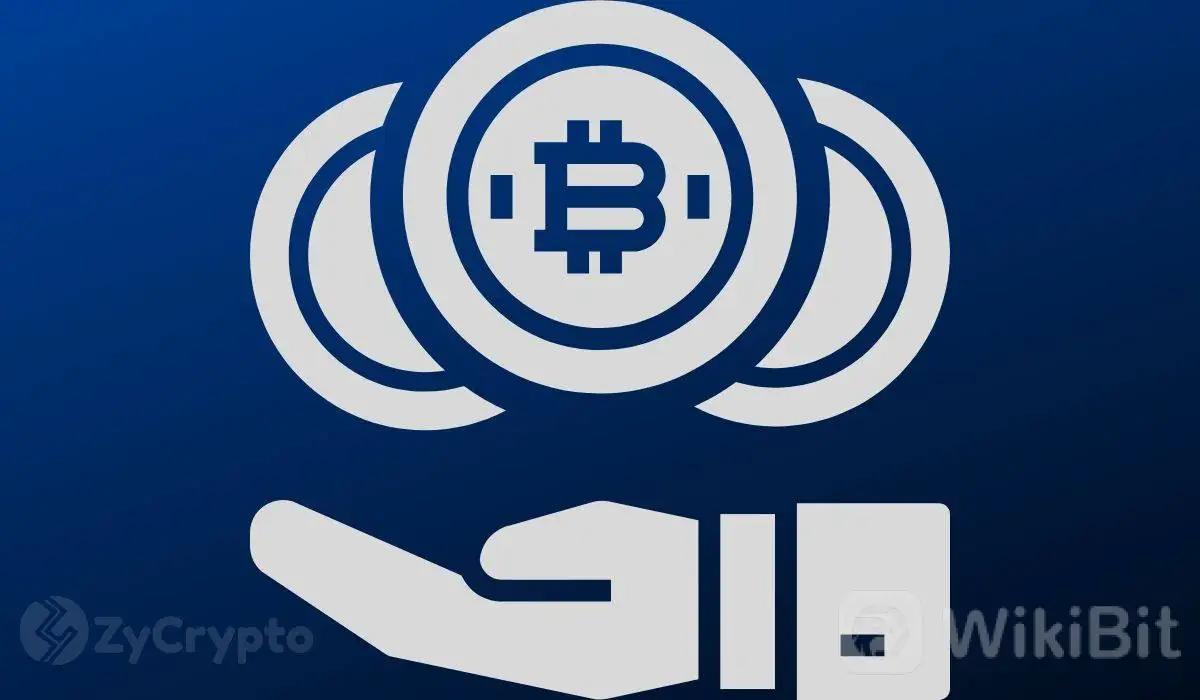 持有 100-1000 BTC 的鲨鱼出现最大涨幅,比特币预示着超级看涨的前景 ⋆ ZyCrypto