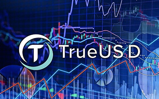TrueCoin第三方供应商违规可能导致TUSD用户数据泄露 TrueCoin第三方供应商违规可能导致TUSD用户数据泄露