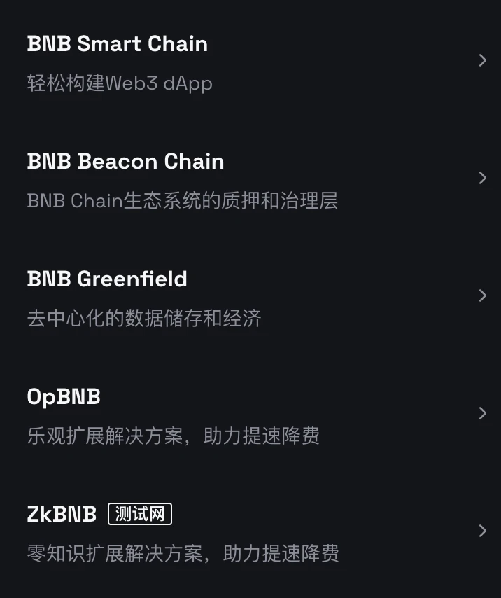 BNB Chain多链解读:如何满足Web3大规模采用的多样场景?