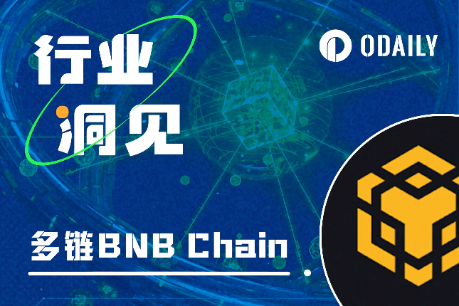 BNB Chain多链解读:如何满足Web3大规模采用的多样场景? BNB Chain多链解读:如何满足Web3大规模采用的多样场景?