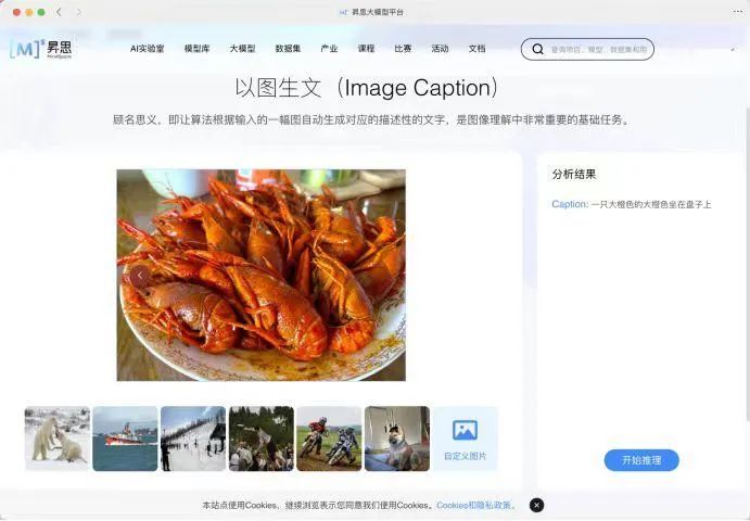 大语言模型之后,计算机视觉是不是下个风口?