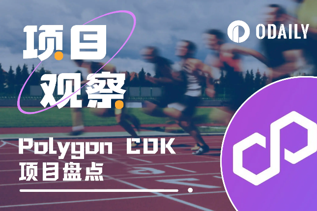 盘点基于Polygon CDK构建的13个项目 盘点基于Polygon CDK构建的13个项目