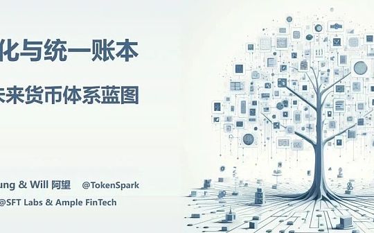 代币化与统一账本 构建未来货币体系蓝图 代币化与统一账本 构建未来货币体系蓝图