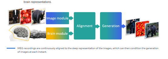 用 AI 模型重构人类大脑成像过程,Meta 发布重磅研究