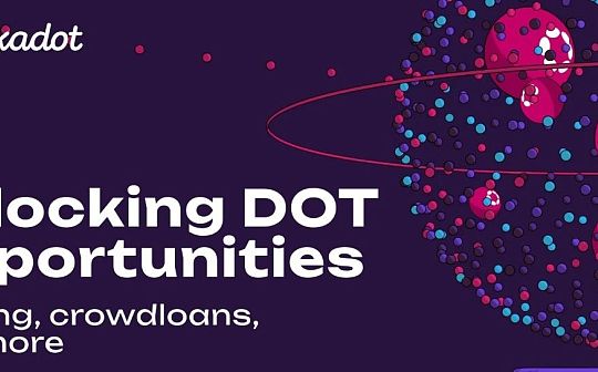 解锁后的 DOT 能做什么?波卡官方指南来了 解锁后的 DOT 能做什么?波卡官方指南来了