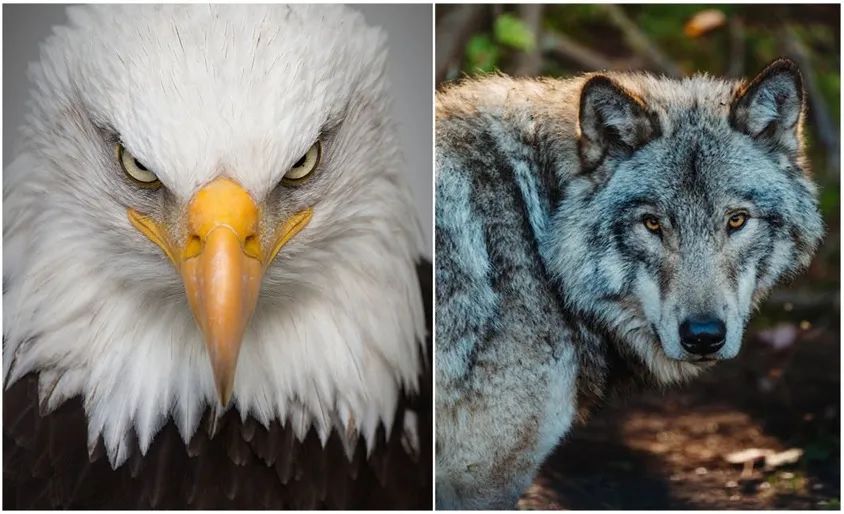 GPT-4、Midjourney之外,谭平创业团队要造一个3D基础模型