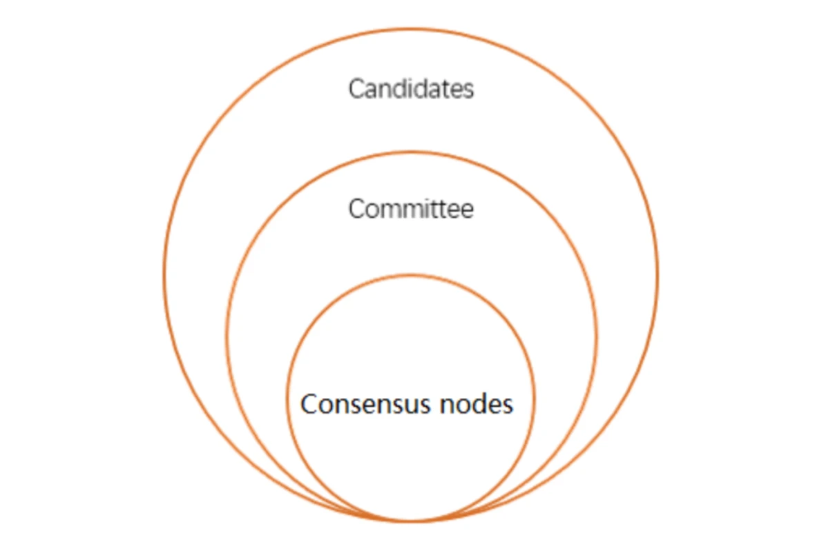 周涨幅近3倍,解读GAS代币与公链NEO底层机制