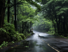 黑客入侵ChatGPT,OpenAI微软全被搞崩!「苏丹匿名者」:是我干的 黑客入侵ChatGPT,OpenAI微软全被搞崩!「苏丹匿名者」:是我干的