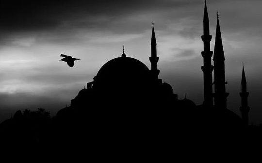 米莱赢了 阿根廷选出了全球第一位奥派总统 米莱赢了 阿根廷选出了全球第一位奥派总统