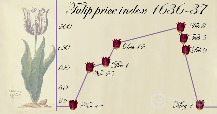 历史性泡沫破灭,比特币反弹