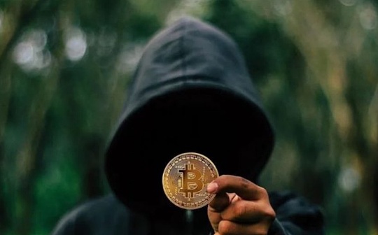 加密货币在网络违法犯罪活动中的利用情况调查 加密货币在网络违法犯罪活动中的利用情况调查