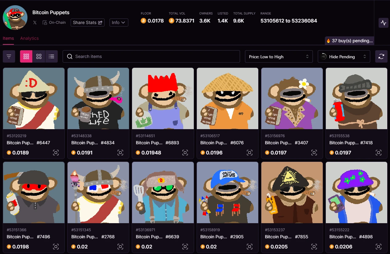 复盘本周热门“金狗”项目:INJS、Bitcoin Puppets以及SOL XY