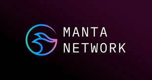 MANTA代币经济学公布,New Paradigm占总量分配6.5% MANTA代币经济学公布,New Paradigm占总量分配6.5%