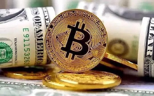 <b>Galaxy:2024年机构加密货币对冲基金和风险投资报告</b> <b>Galaxy:2024年机构加密货币对冲基金和风险投资报告</b>