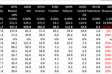 美国比特币现货ETF上市第10天净流出8000万美元 美国比特币现货ETF上市第10天净流出8000万美元