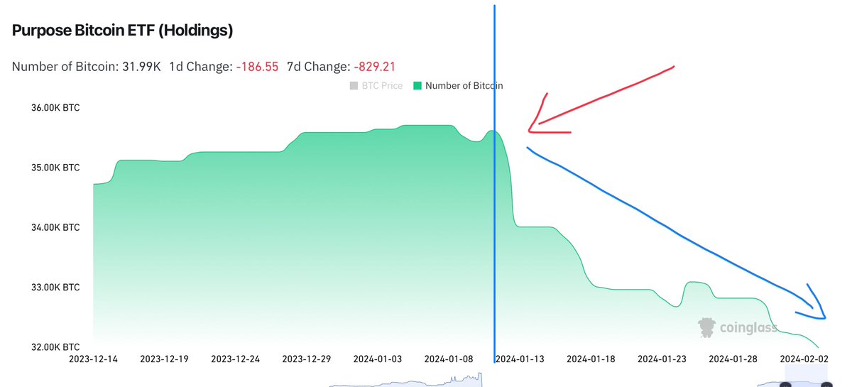 1707017703103912.jpeg GFcpHKW0AAd1Fd.jpeg