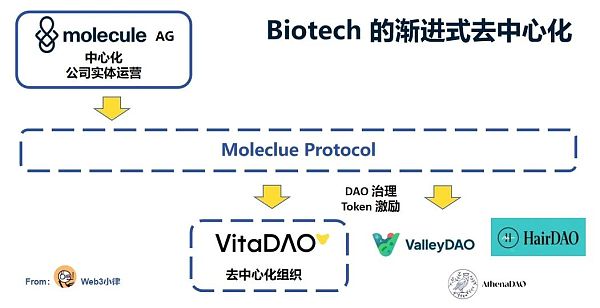 DeSci:探索 Biotech 项目进入 Web3 的业务模式及可行路径