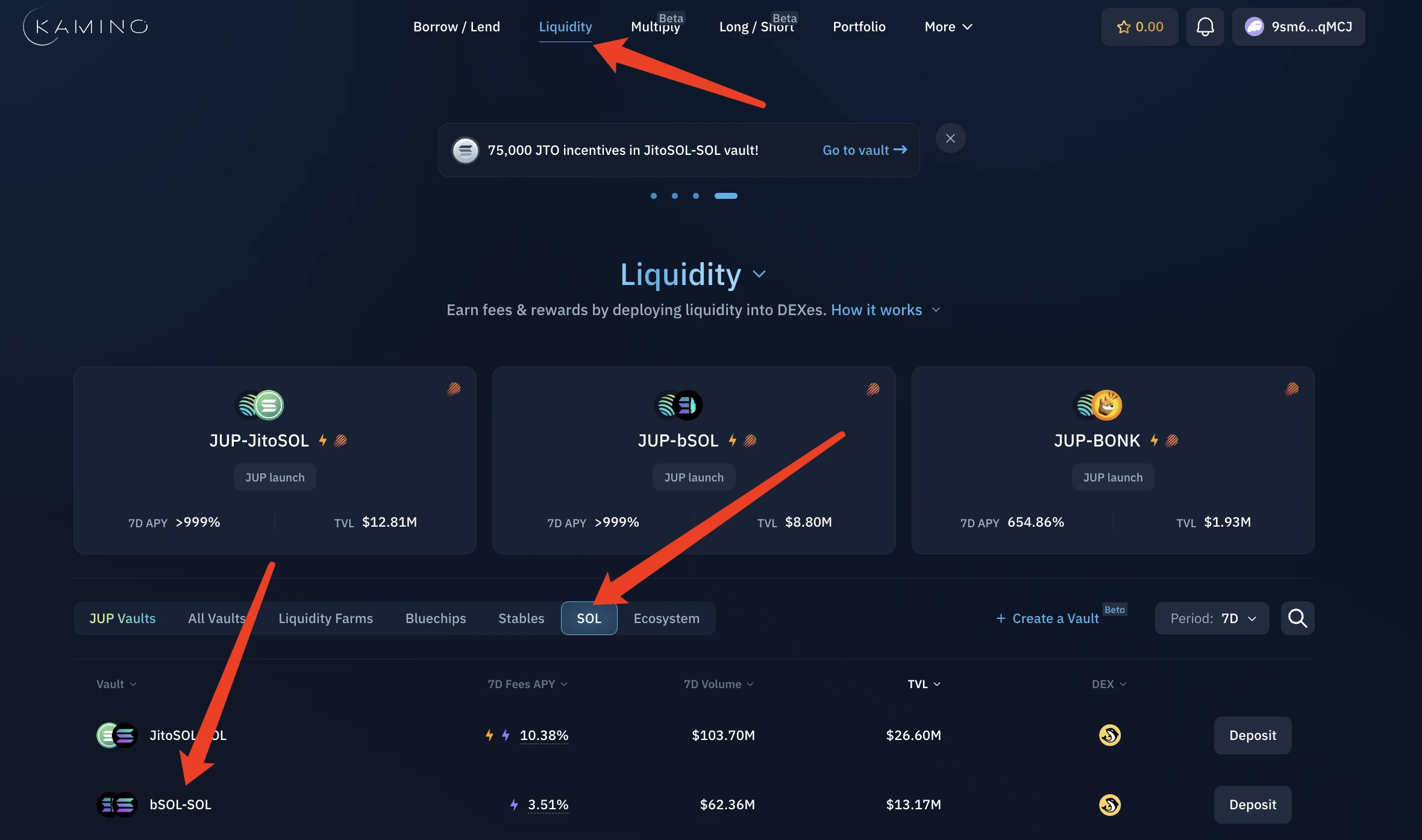 交互指南:盘点2024年Solana生态潜在空投项目