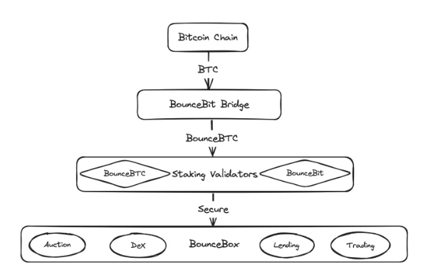 TVL突破1亿美元,详解BounceBit如何「三措并举」实现高速增长