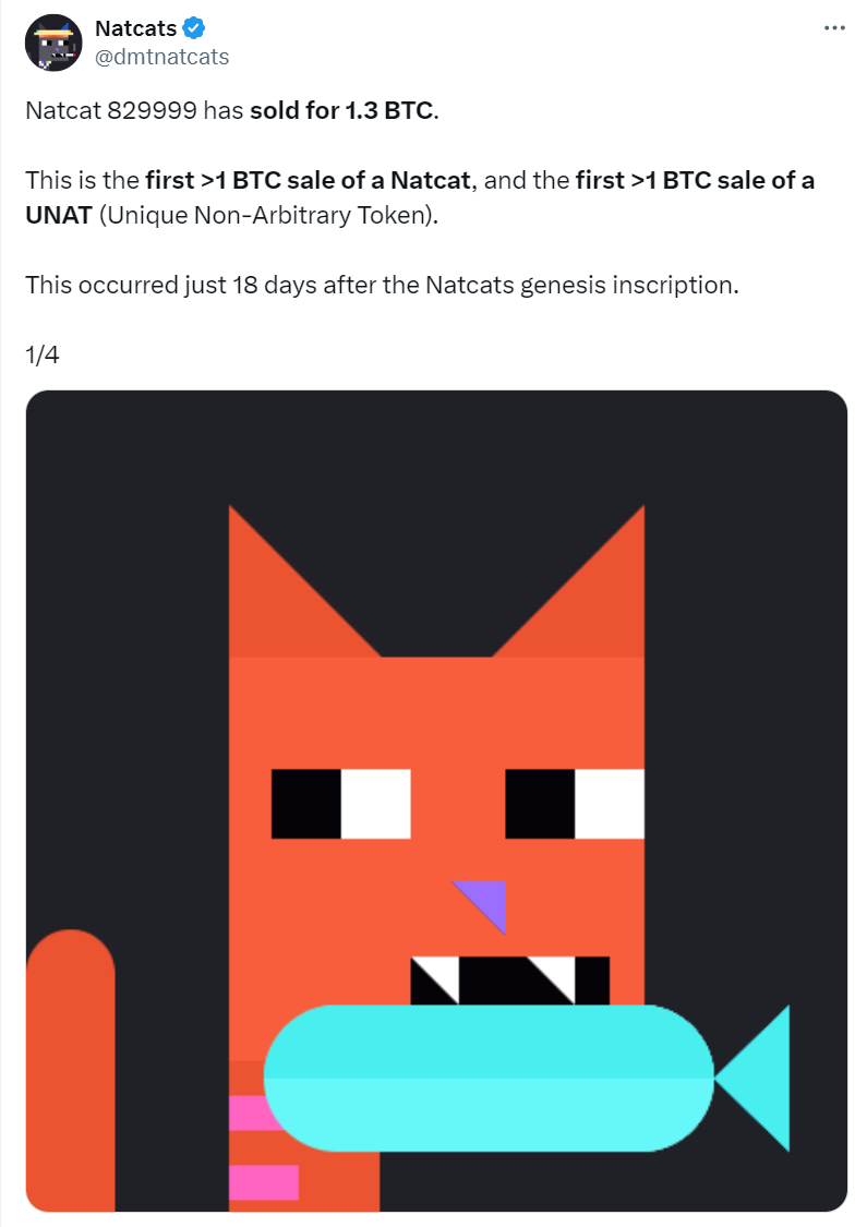 Natcats一周十倍,DMT概念小图片究竟是什么?