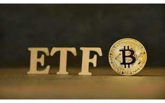美参议员敦促SEC停止批准新的加密货币ETF 美参议员敦促SEC停止批准新的加密货币ETF