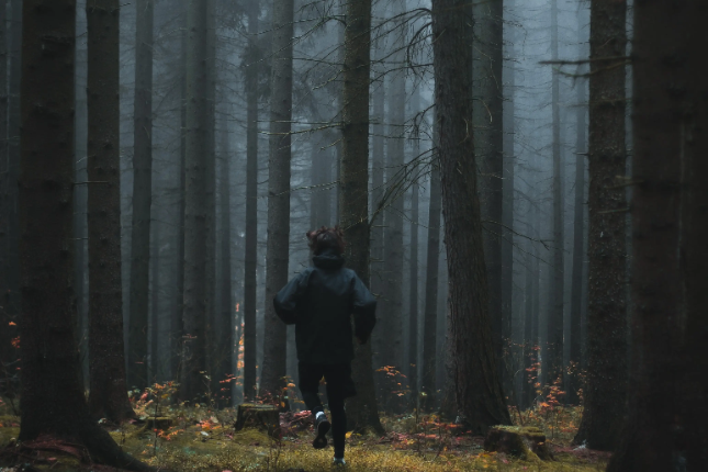 Solana MEV指南:以太坊外的又一片黑暗森林 Solana MEV指南:以太坊外的又一片黑暗森林