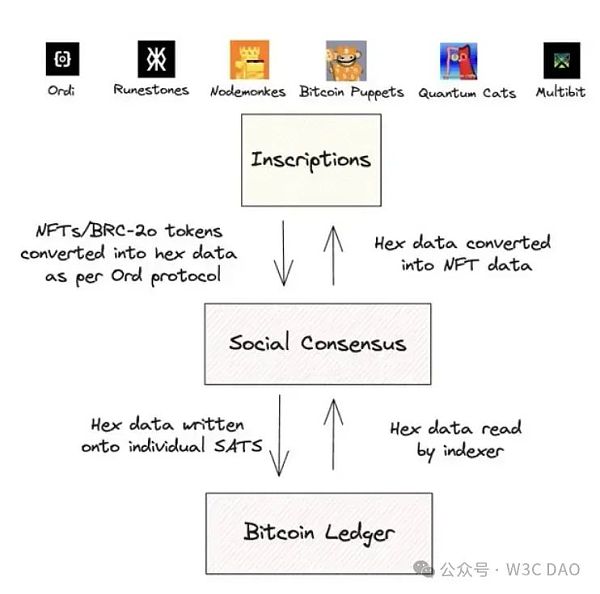 Polygon Ventures:对本轮牛市 BTC 生态的研究分析