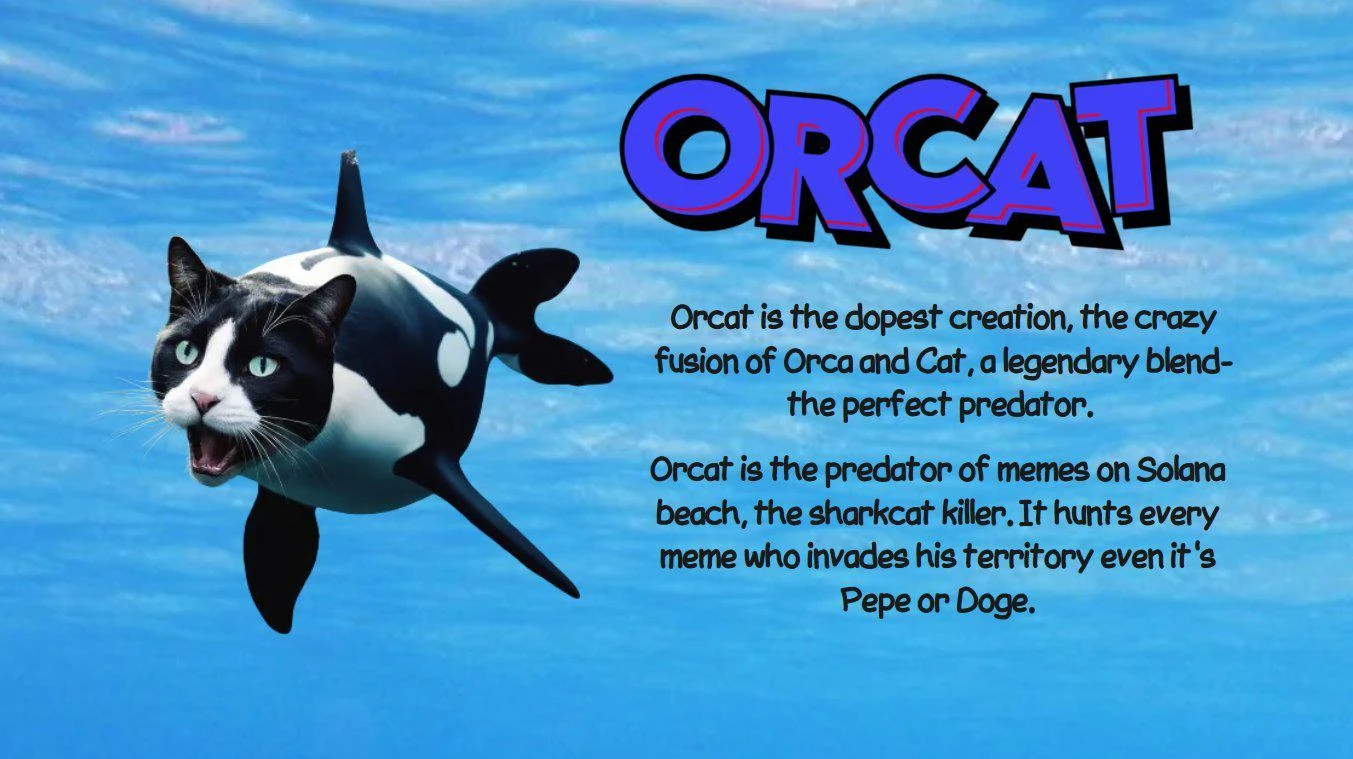 「猫猫Meme」叙事火热,盘点值得关注的5个项目