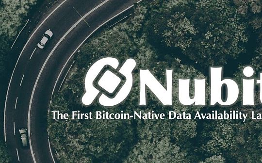 Nubit——改变比特币的模块化索引器 Nubit——改变比特币的模块化索引器