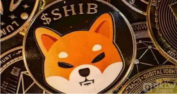 预测SHIB币的最终价格探讨