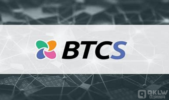 阐述btcs是什么币种及其未来发展