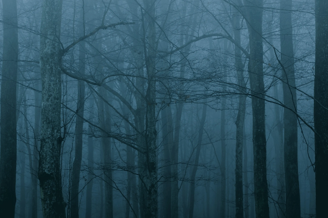 白话解读Web3签名钓鱼的底层逻辑：授权钓鱼、Permit与Permit2的区别