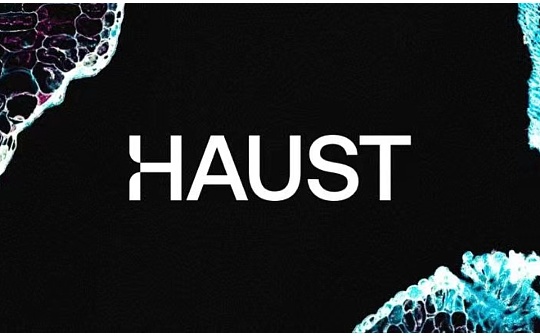 Haust Network:革新区块链领域的革命性Web3巨擘 Haust Network:革新区块链领域的革命性Web3巨擘