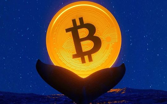 全球五大比特币巨鲸 全球五大比特币巨鲸