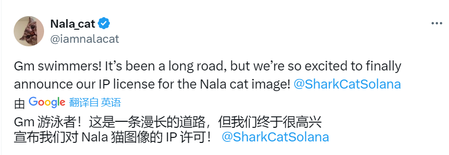 IP争议、反抗VC,猫币社区内部出现“猫王争霸”战