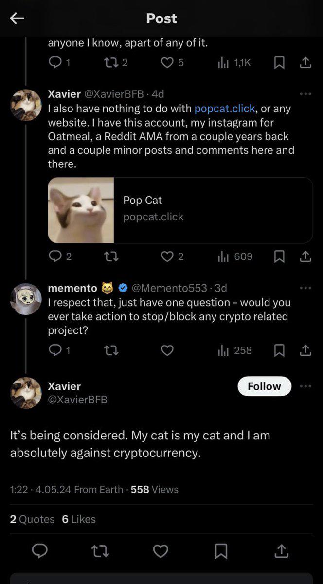 IP争议、反抗VC,猫币社区内部出现“猫王争霸”战
