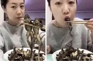 注意力经济时代,Meme币直播乱象丛生