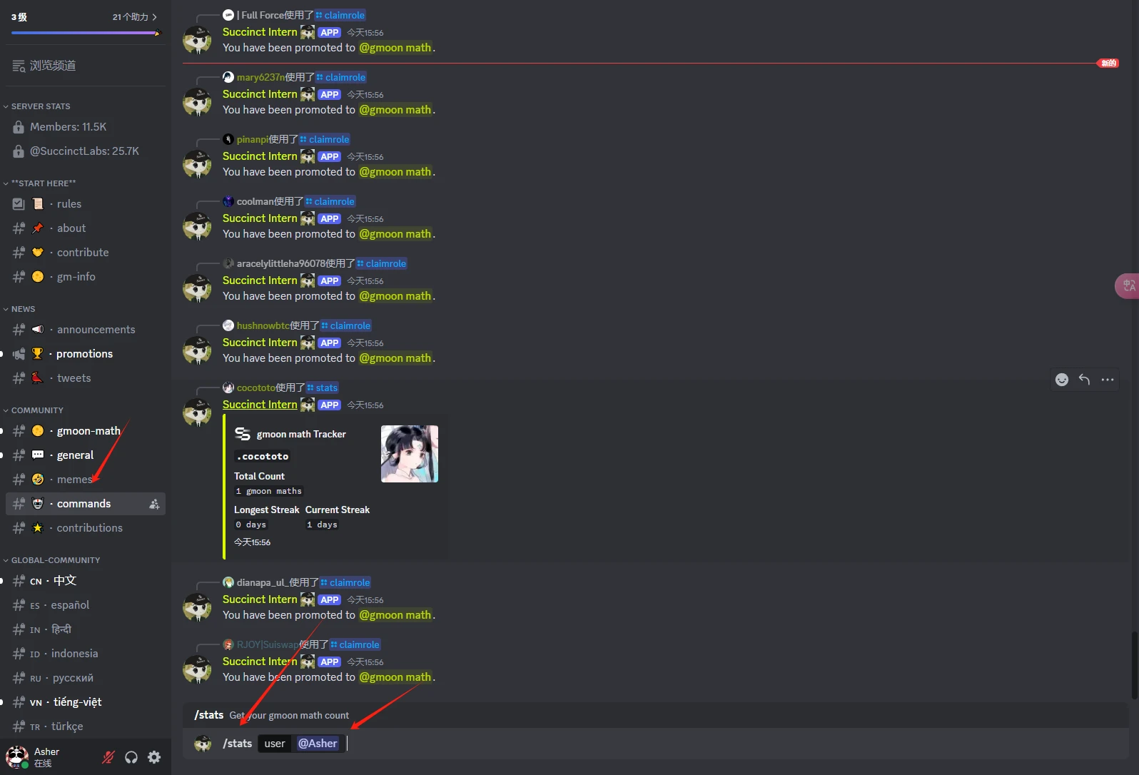 本周精选交互项目:Succinct与Solv Protocol