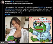 Jupiter 合作 Irene Zhao 推迷因币 侦探曝诈骗黑历史 Jupiter 合作 Irene Zhao 推迷因币 侦探曝诈骗黑历史