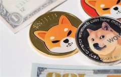 柴犬鲸鱼在一天内增加了600%的储量 柴犬鲸鱼在一天内增加了600%的储量