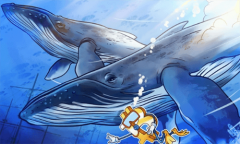 比特币创新高需新动力:鲸鱼积累放缓,永久持有人成亮点 比特币创新高需新动力:鲸鱼积累放缓,永久持有人成亮点