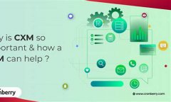 香港cxm数字货币是什么币(香港数字货币白皮书)